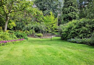 Optimiser l'expérience du jardin à Bannay