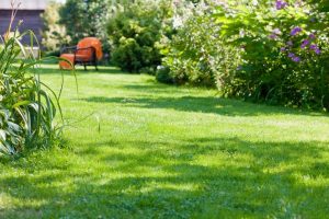 travaux jardin et paysage Bannay